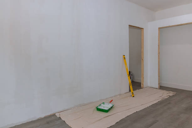 Best Fire-Damaged Drywall Repair  in Donalsonville, GA